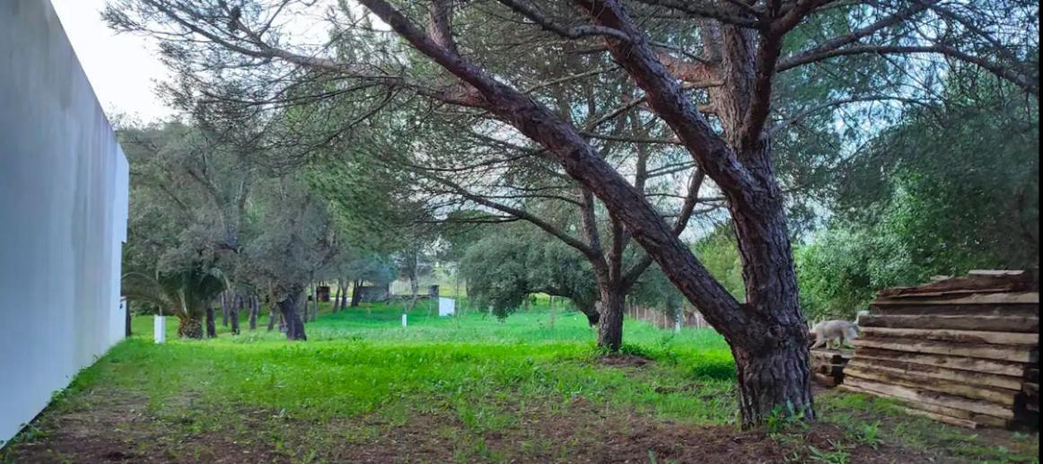 Quinta Do Evaristo Έβορα Εξωτερικό φωτογραφία